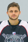 Хоккеист Свинцицкий Никита, Свинцицкий Никита  (Svincickij-Nikita-) -  , нападающий
