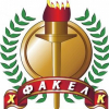 Лого Команда Факел Мичуринск Россия