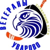 Лого Команда Ветераны Уварово Уварово Россия
