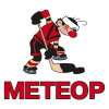 Лого Команда Метеор Тамбов Россия